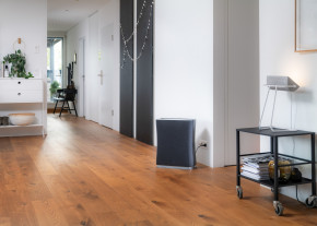 Oczyszczacz powietrza Roger 2 od Stadler Form