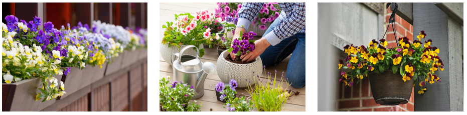 Jeśli chcesz, by Twój taras zyskał świeżość i nową energię, sięgnij po kwiaty i zioła