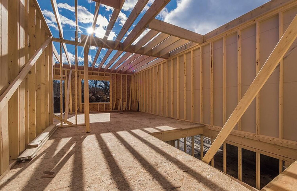 dom szkieletowy budowa