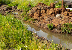 Jak obniżyć poziom wody gruntowej - bezpieczne metody dla budowy domu
