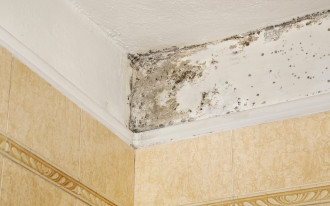 Jak skutecznie usunąć pleśń i grzyba z sufitu w łazience? Sprawdzone sposoby i środki