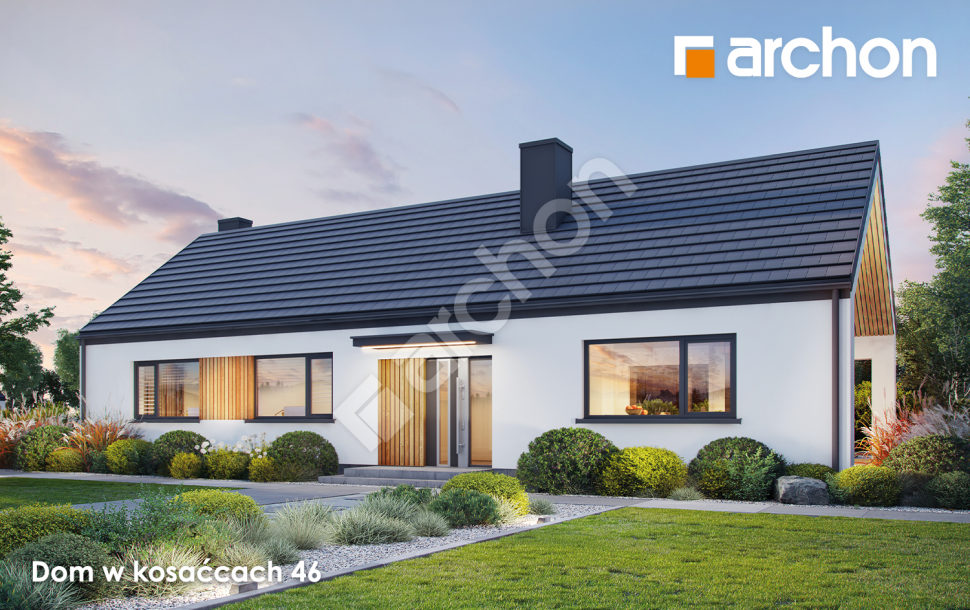 Dom w kosaćcach 46