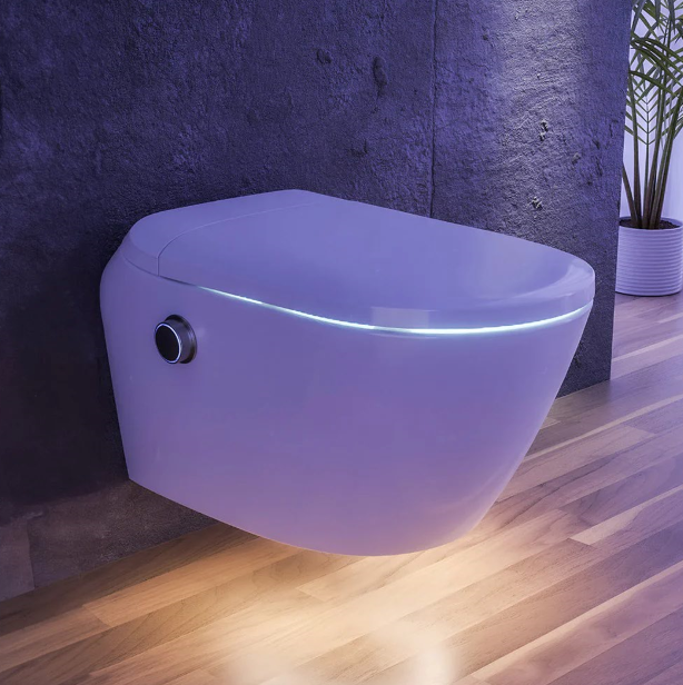 Toaleta myjąca. Komfort i delikatność każdego dnia!