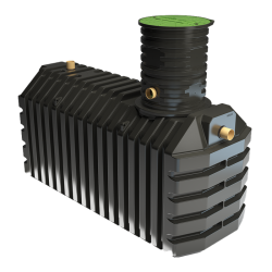 Osadnik gnilny Gamma