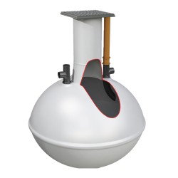 Osadnik gnilny Alpha