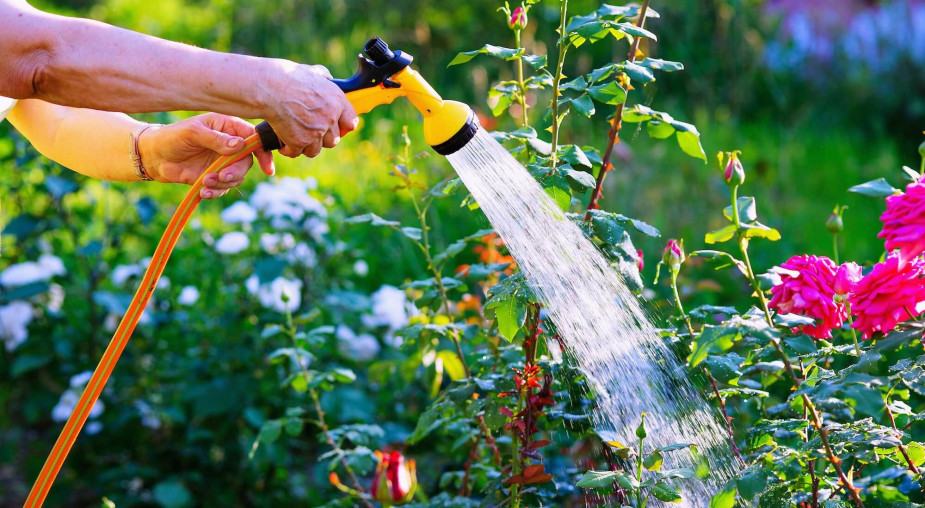 Czy opłaca się zamontować podlicznik wody ogrodowej? Sprawdź, jak działa i ile możesz zaoszczędzić