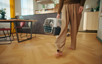 Mocna podłoga w rytmie trendów 2025 - Arbiton wkracza do telewizji