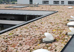 Czym jest dach retencyjny i jakie są jego zalety?