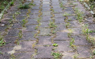 Kostka brukowa to ciągła walka z chwastami. Te 5 sposobów na jej czyszczenie zadziała