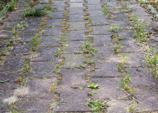 Kostka brukowa to ciągła walka z chwastami. Te 5 sposobów na jej czyszczenie zadziała