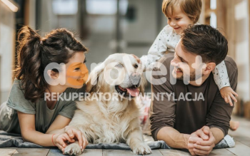 Rekuperacja a wilgotność powietrza - jak systemy wentylacji mechanicznej wpływają na mikroklimat w domu?