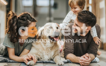 Rekuperacja a wilgotność powietrza - jak systemy wentylacji mechanicznej wpływają na mikroklimat w domu?