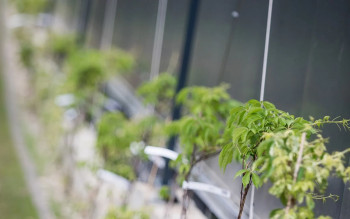 Deklaracje EPD dla płyt warstwowych Ruukki® LowCarbon - ślad węglowy niższy nawet o połowę