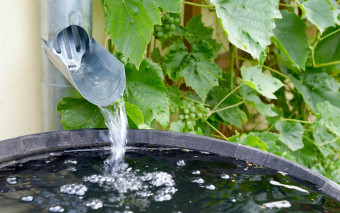 Nigdy tak nie rób z deszczówką! Są kontrole i grożą wysokie kary