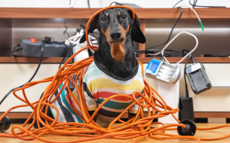 Bałagan w kablach? To rozwiązanie za 8 zł zmienia wszystko