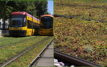 Zieleń na torach tramwajowych – inwestycja, która zmienia miasta