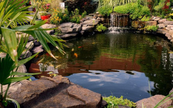 Oczko wodne i basen w ogrodzie – jak uniknąć błędów przy hydroizolacji?