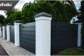 Tuje przy płocie. Ta odległość daje najlepszy efekt!