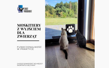 Zaskakująca funkcjonalność moskitier z wyjściem dla pupili