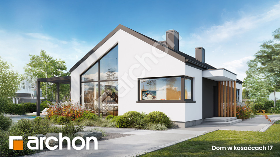 Dom w kosaćcach 17