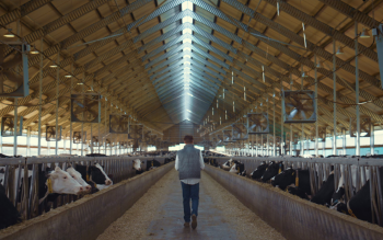 Energooszczędne okna do budynków gospodarczych: jak połączyć trwałość z oszczędnością na lata