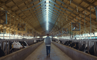 Energooszczędne okna do budynków gospodarczych: jak połączyć trwałość z oszczędnością na lata