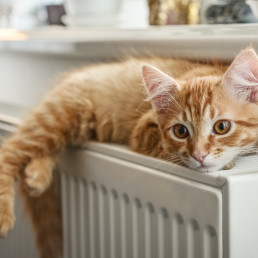 Przyklej matę za grzejnikiem - nawet 90% ciepła wraca do pokoju