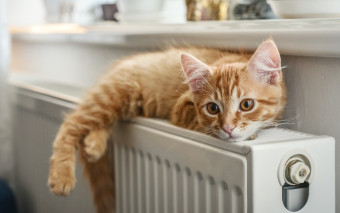 Przyklej matę za grzejnikiem - nawet 90% ciepła wraca do pokoju
