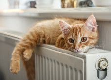 Przyklej matę za grzejnikiem - nawet 90% ciepła wraca do pokoju