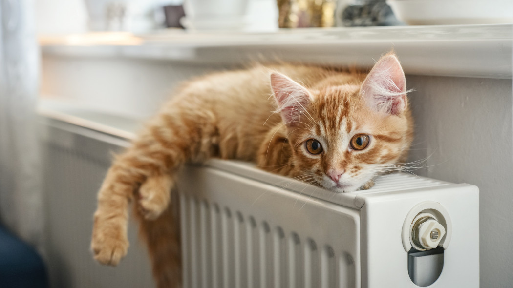 Przyklej matę za grzejnikiem - nawet 90% ciepła wraca do pokoju