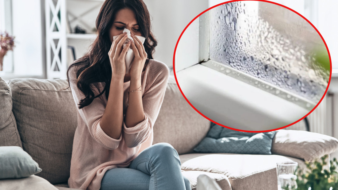 Wilgotność a alergia. Dlaczego pleśń atakuje najpierw płuca?