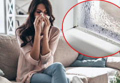Wilgotność a alergia. Dlaczego pleśń atakuje najpierw płuca?