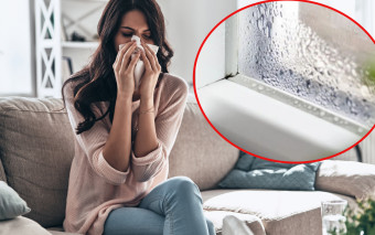 Wilgotność a alergia. Dlaczego pleśń atakuje najpierw płuca?