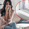 Wilgotność a alergia. Dlaczego pleśń atakuje najpierw płuca?