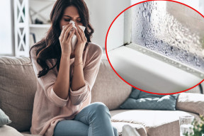 Wilgotność a alergia. Dlaczego pleśń atakuje najpierw płuca?