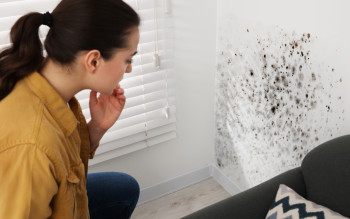 Mokre plamy na ścianie. To nie wina wentylacji, a ukrytej luki w izolacji!