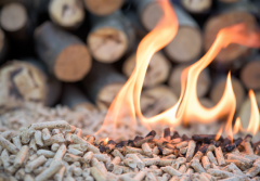 Biomasa na fali: jak pellet zmienia rynek ogrzewania i co to oznacza dla Twojego domu?