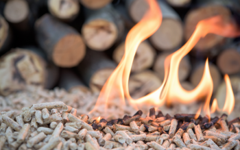 Biomasa na fali: jak pellet zmienia rynek ogrzewania i co to oznacza dla Twojego domu?