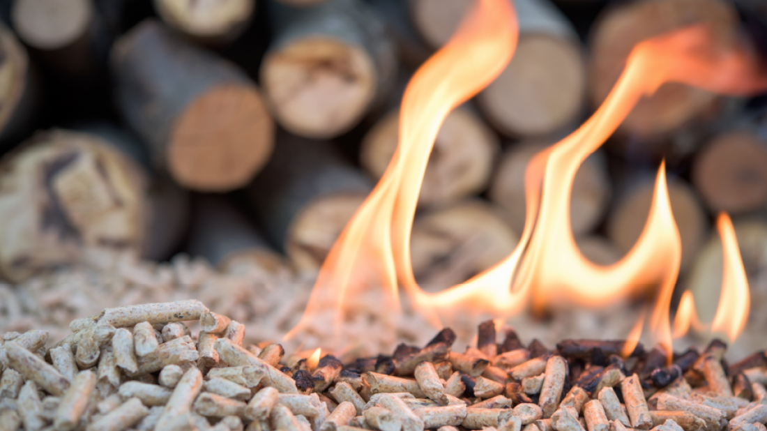 Biomasa na fali: jak pellet zmienia rynek ogrzewania i co to oznacza dla Twojego domu?