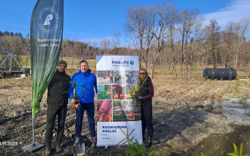 Pipelife pomaga odbudować zniszczoną szkółkę leśną w Lądku-Zdroju. Rok po powodzi rusza nowe życie
