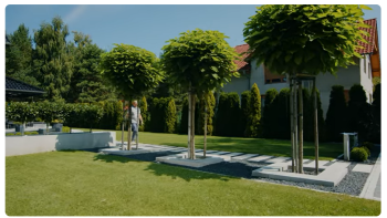 Jak zaaranżować donice w ogrodzie? | Donice z Palisad Impari