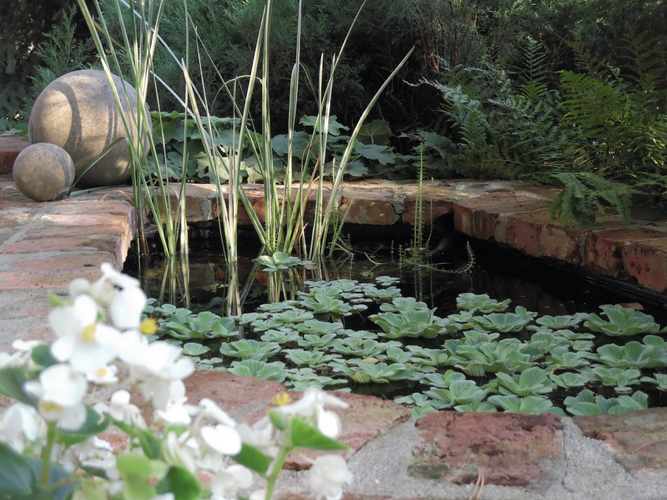 dofinansowanie na oczko wodne