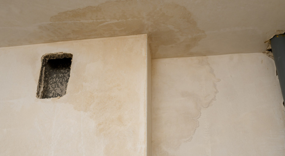 Przemarzanie ścian i wilgoć w domu: skąd się biorą i jak pozbyć się problemu