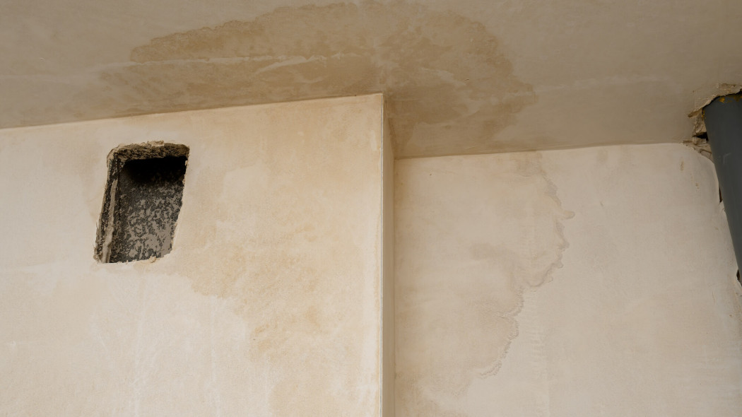 Przemarzanie ścian i wilgoć w domu: skąd się biorą i jak pozbyć się problemu