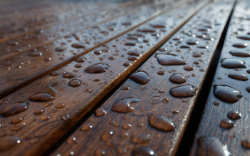 Aqua HWS-712-Hartwachs-Siegel [eco] - wodny lakier, który chroni drewno i wspiera zrównoważone budownictwo