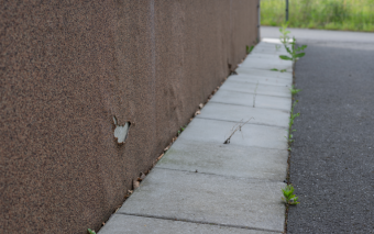 Cokoły bez kompromisów: Jak skutecznie zabezpieczyć dolne partie elewacji na lata?