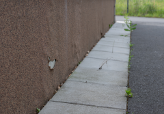 Cokoły bez kompromisów: Jak skutecznie zabezpieczyć dolne partie elewacji na lata?