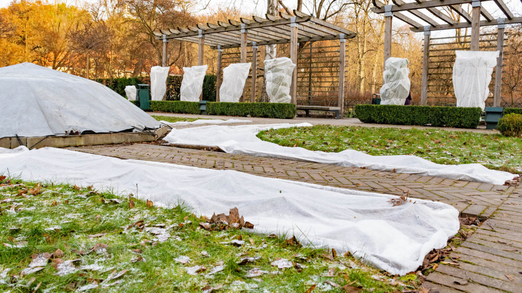 Okrywanie roślin na zimę: co zrobić, by bezpiecznie przezimowały do wiosny? 