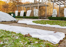 Okrywanie roślin na zimę: co zrobić, by bezpiecznie przezimowały do wiosny? 