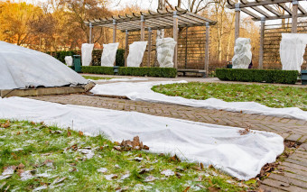 Okrywanie roślin na zimę: co zrobić, by bezpiecznie przezimowały do wiosny? 